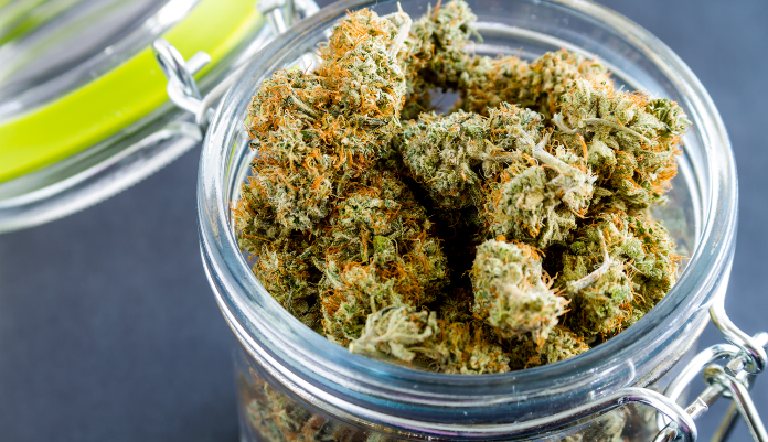 potent marijuana buds in a glass container